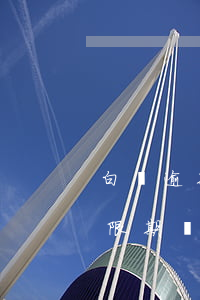 白條逾期幾天會(huì)有事？還款寬限期、上征信全解析！